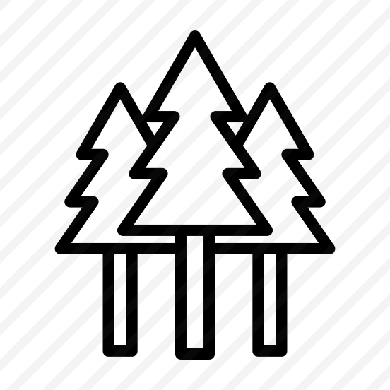 Forest,nature,trees,woodland,pines preview