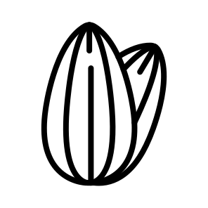 Nut,healthy Food,almond,nuts,vegetarian icon