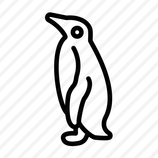 Penguin,animal,wild Life,zoo,animals preview