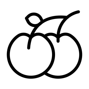 Cherry,food,fruit,picnic,cherries icon