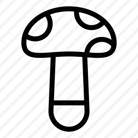 Mushroom,parasol,food,picnic,fungus preview