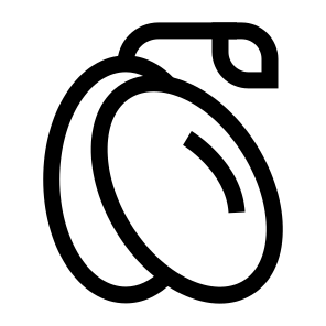 Jambul, Fruit, Purple, Round, Small, Sour, Edible, Berry, Tropical icon