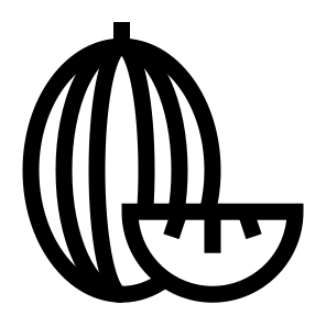 Muskmelon, Fruit, Melon, Round, Sweet, Orange, Juicy, Edible, Tropical icon