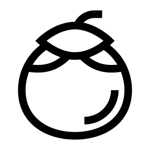 Palmyra, Fruit, Tropical, Palm, Round, Brown, Edible, Juicy, Exotic icon