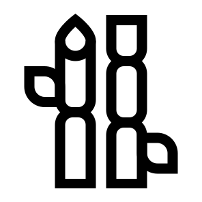 Sugarcane, Plant, Tall, Sweet, Fibrous, Stalk, Juice, Tropical, Cane icon