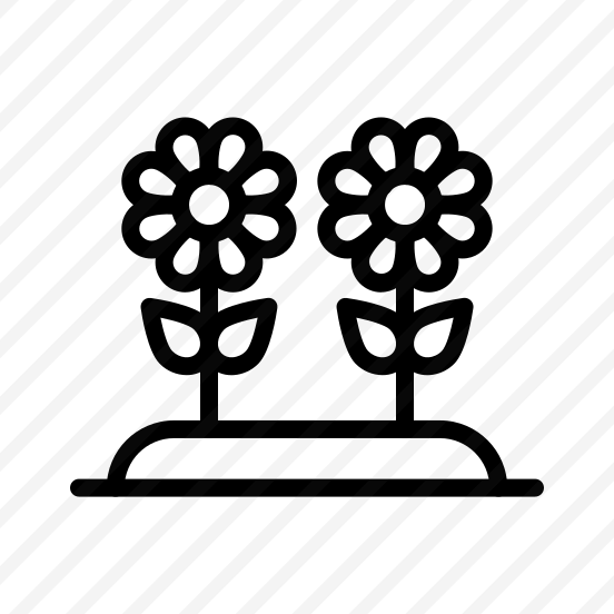 Rose, Flower, Love, Romantic, Petals, Red, Gift, Symbol, Beauty  preview