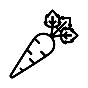 Carrot,food,vegetables,diet,vegan icon
