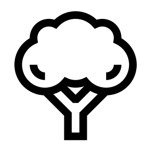 Broccoli, Broccoli, Vegetable, Green, Healthy, Nutrition, Plant, Edible, Stalk icon