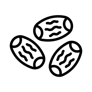 Dates,vegan,healthy Food,diet,vegetarian icon