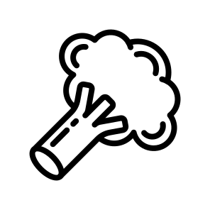 Broccoli,vegetable,vegetables,food,healthy Food icon