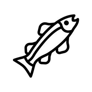 Salmon,fish,sea,healthy Food,animals icon