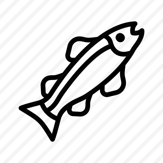 Salmon,fish,sea,healthy Food,animals preview