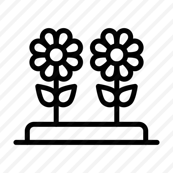 Flowers,blossom,nature,petals,botanical preview