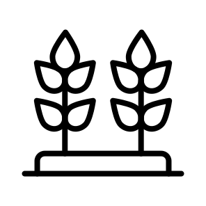 Plant,leaf,leaves,nature,farming And Gardening icon