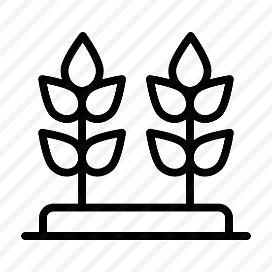 Plant,leaf,leaves,nature,farming And Gardening preview