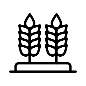 Wheat,grain,grains,cereal,cereals icon
