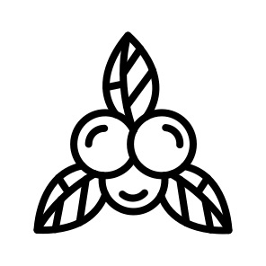 Berry,fruit,berries,food,organic icon