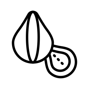 Chestnut,fall,autumn,nature,food icon