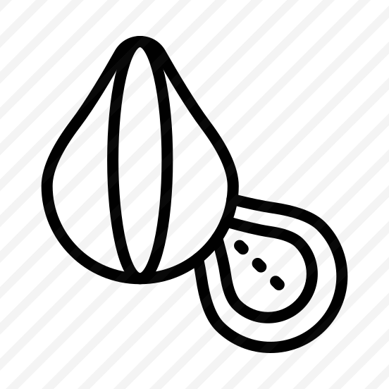 Chestnut,fall,autumn,nature,food preview