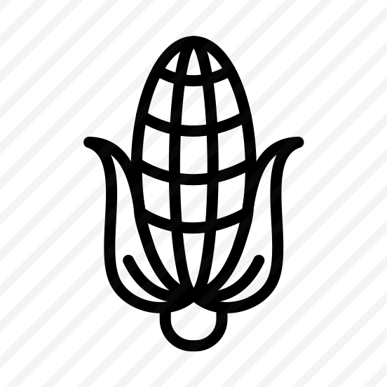 Corn,food,diet,healthy Food,cereal preview
