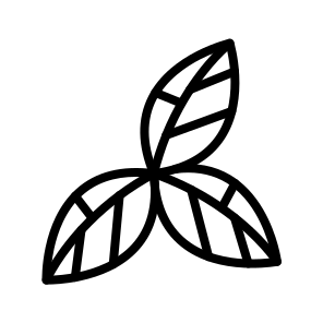 Leaf,plant,garden,nature,leaves icon