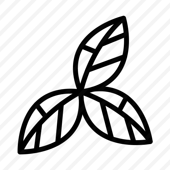 Leaf,plant,garden,nature,leaves preview