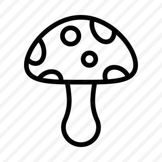 Mushroom,fungi,nature,food,muscaria preview
