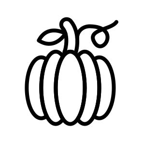 Pumpkin,diet,vegan,healthy Food,vegetarian icon