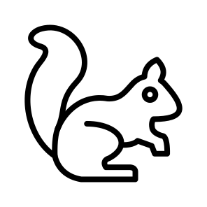 Squirrel,animal,zoo,wildlife,nature icon