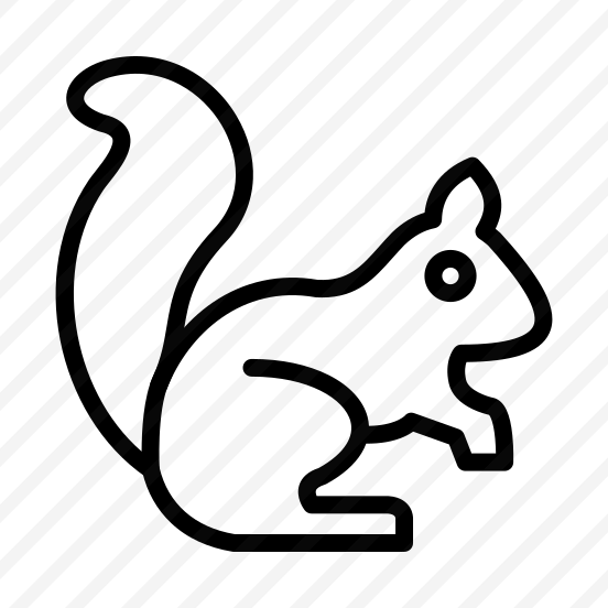 Squirrel,animal,zoo,wildlife,nature preview