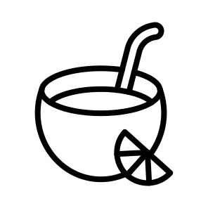 Coconut Drink,coconut,food,drink,vegetarian icon