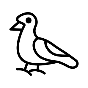 Seagull,bird,animal,seagulls,fly icon
