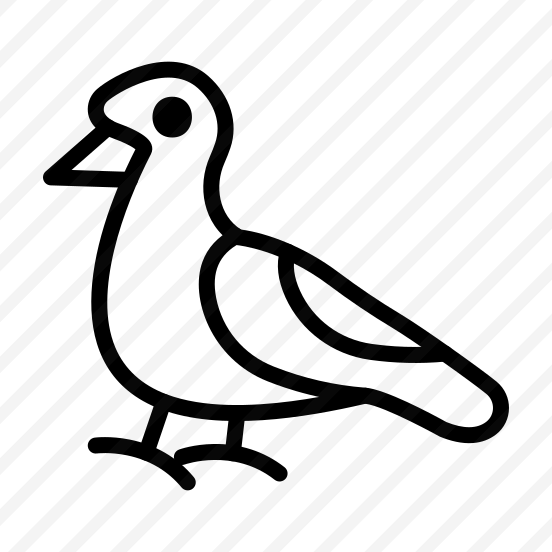 Seagull,bird,animal,seagulls,fly preview