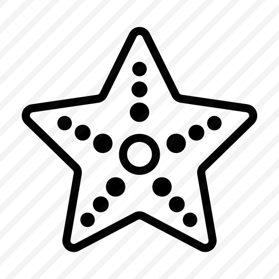 Starfish,sea,animals,summer,summer Time preview