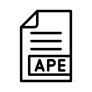 Ape,files And Folders,file Type,format,extension icon
