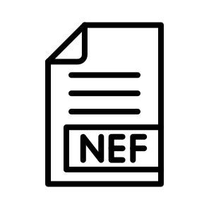 Nef,files And Folders,format,extension,document icon