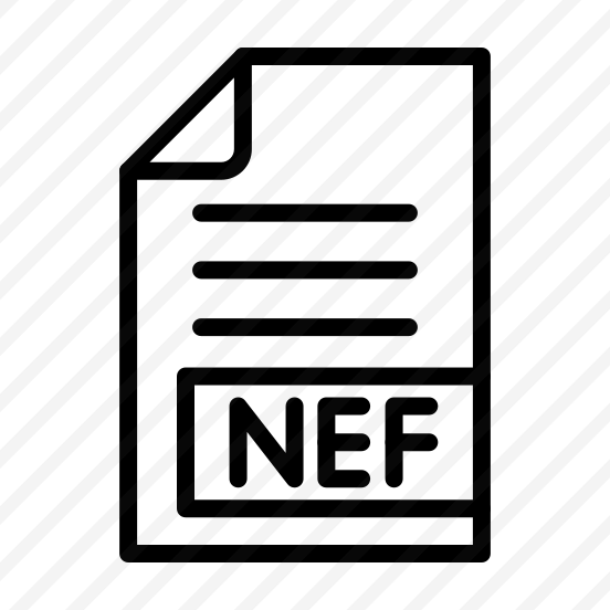 Nef,files And Folders,format,extension,document preview