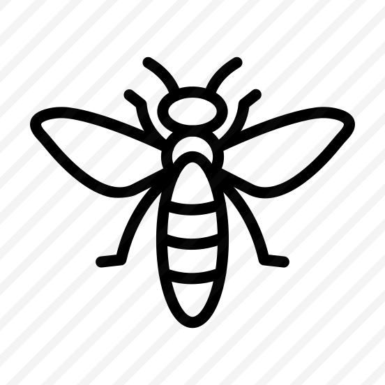 Bee,animal Kingdom,wings,fly,insect preview