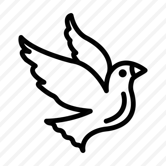 Bird,animal,wild,wings,animals preview