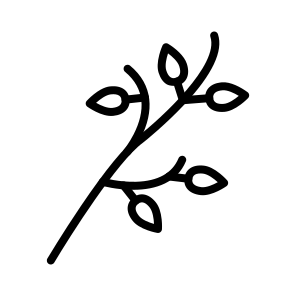 Branch,plant,leaves,nature,spring icon