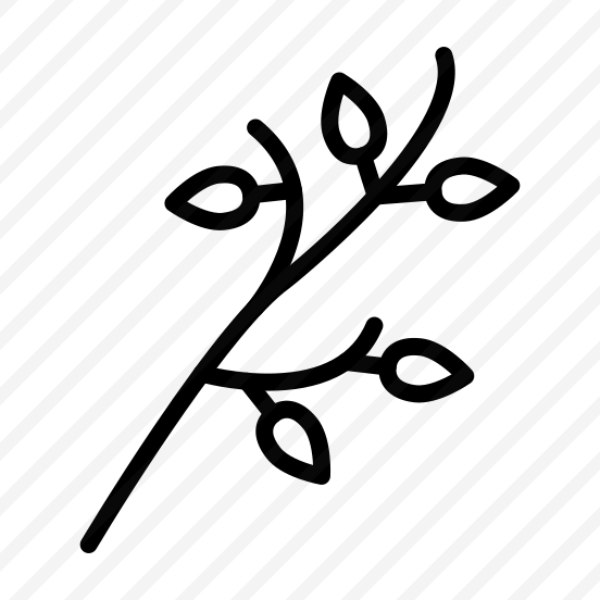 Branch,plant,leaves,nature,spring preview