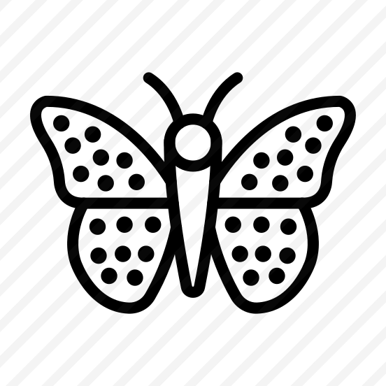Butterfly,zoology,springtime,spring,fly preview