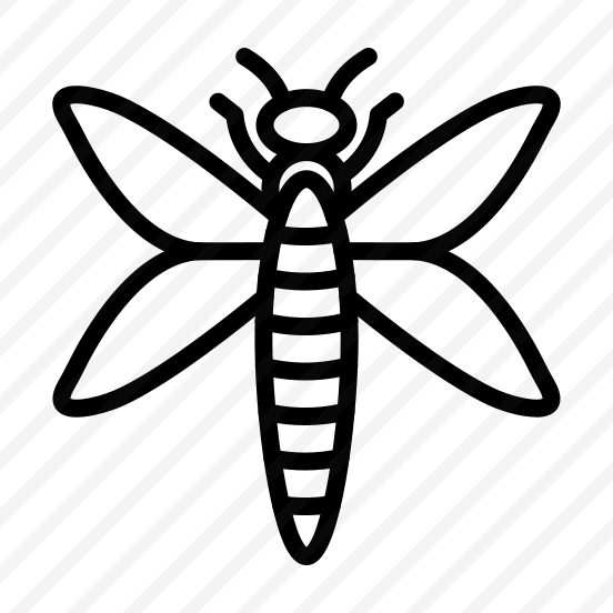 Dragonfly,animal,insect,animals,fly preview