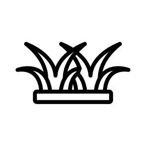 Grass,ground,grass Leaves,nature,plant icon