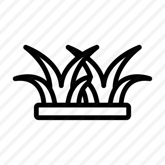 Grass,ground,grass Leaves,nature,plant preview