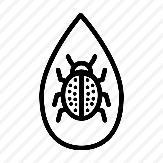 Ladybug,bug,insect,animals,animal Kingdom preview