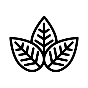 Leaf,plant,garden,plant Leaf,nature icon