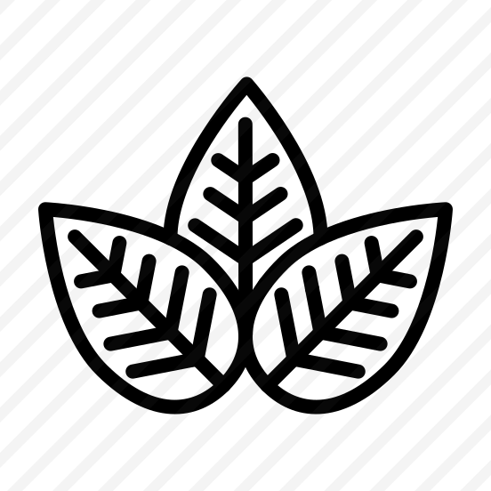Leaf,plant,garden,plant Leaf,nature preview