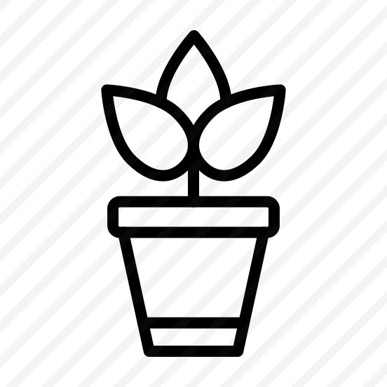 Plant,leaves,natural,plants,spring preview