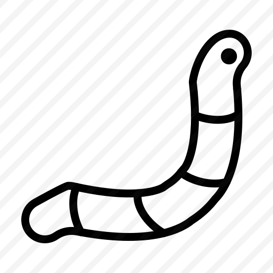 Worm,insect,animals,nature,animal Kingdom preview
